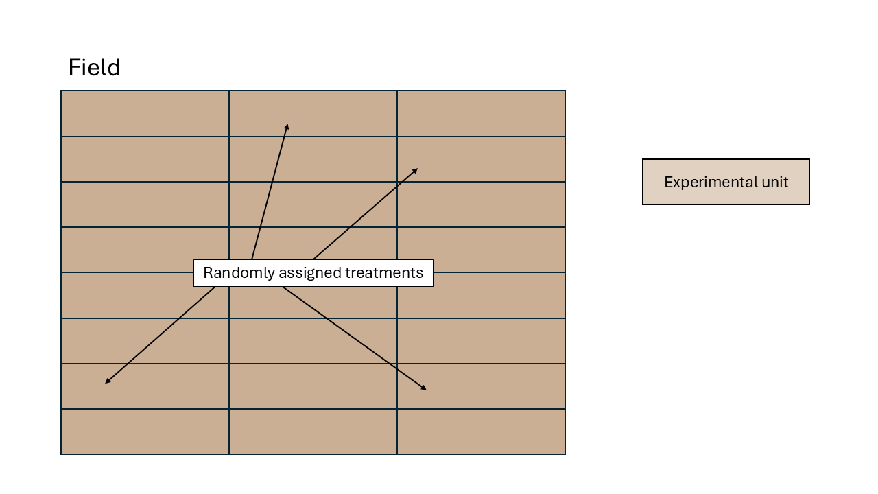 Schematic description of an experiment with a completely randomized design