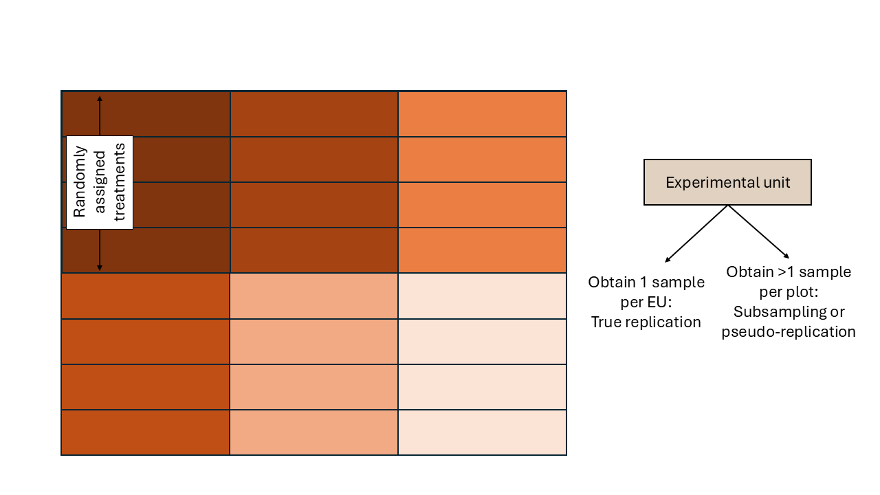 Schematic description of an experiment with an incomplete block design