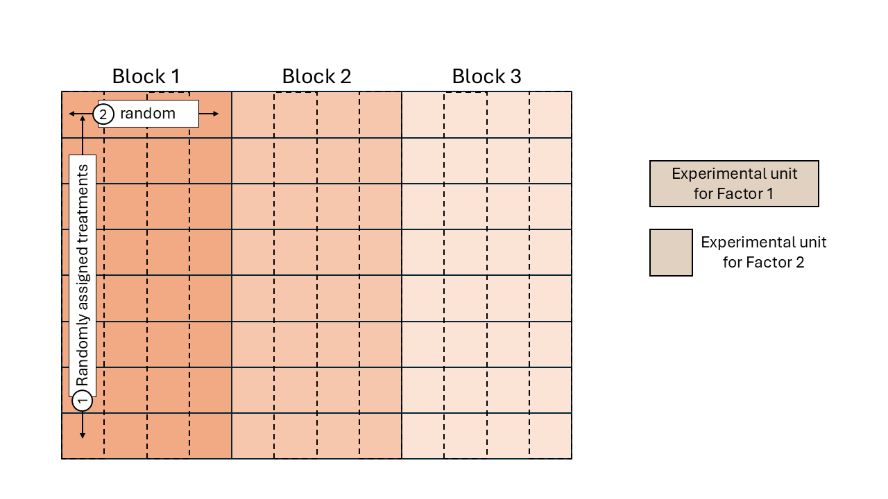 Schematic description of a field experiment with a split-plot design