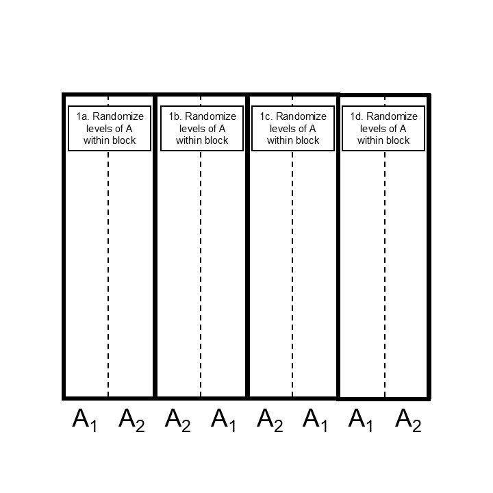 Step 1 designing a split plot design in a blocked structure.
