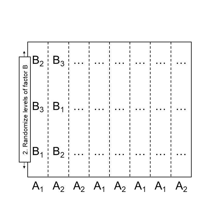 Step 2 designing a split plot design
