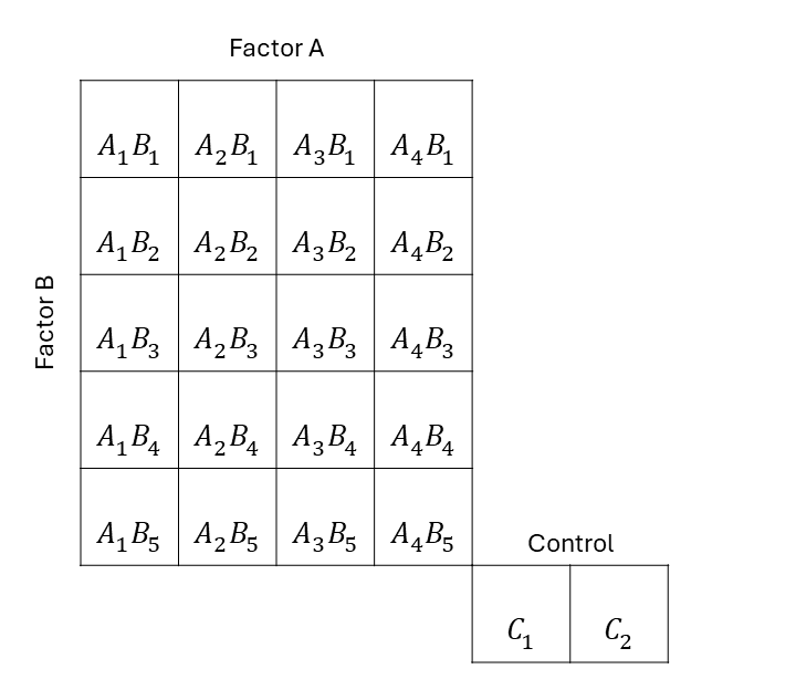 Schematic description of an experiment with a two-way treatment structure with two controls