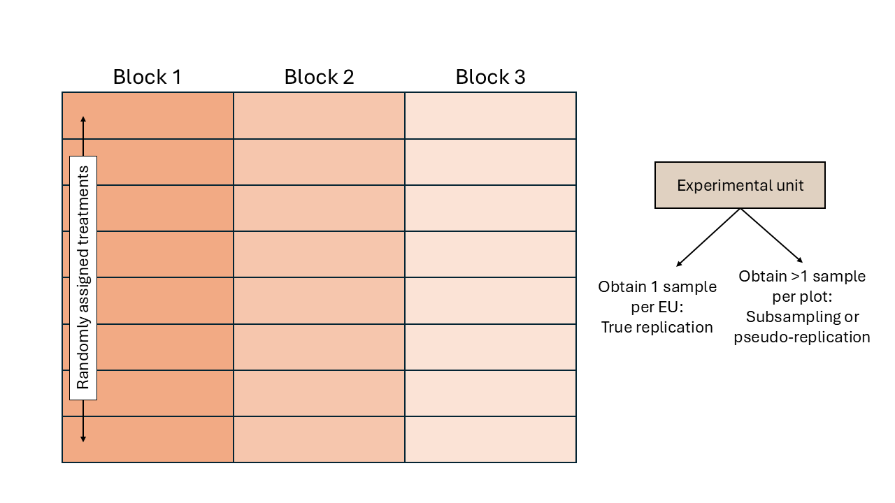 Schematic description of an experiment with a randomized complete block design
